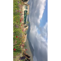 旅行风景5261