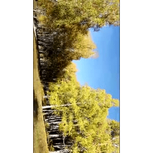 旅行风景5267