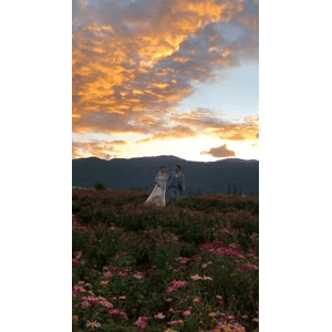 旅行风景5268
