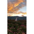 旅行风景5268