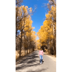 旅行风景5274