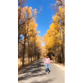 旅行风景5274