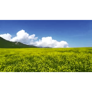 旅行风景5320