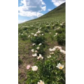 旅行风景5323