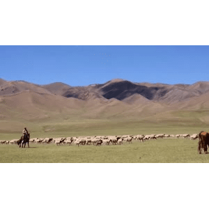 旅行风景5325