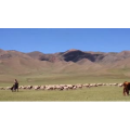 旅行风景5325