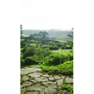 旅行风景5375
