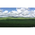 旅行风景5377
