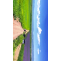 旅行风景5387