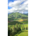 旅行风景5389