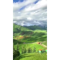 旅行风景5390