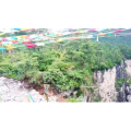 旅行风景5391