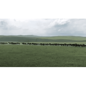 旅行风景5409