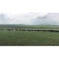 旅行风景5409