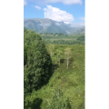 旅行风景5422