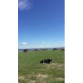 旅行风景5430
