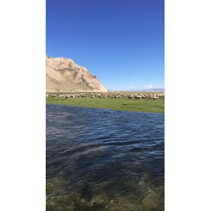 旅行风景5444