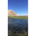 旅行风景5444