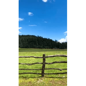 旅行风景5445