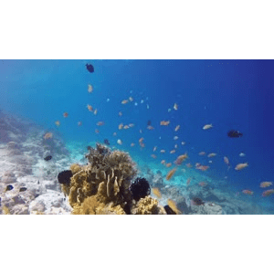 旅行风景5449