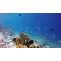 旅行风景5449