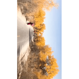旅行风景5451