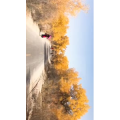 旅行风景5451