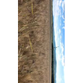 旅行风景5460