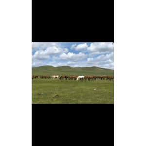 旅行风景5471