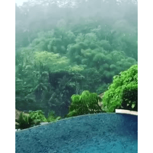 旅行风景5488