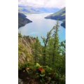 旅行风景5504