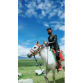 旅行风景5508