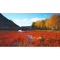 旅行风景5518
