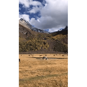 旅行风景5528