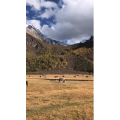 旅行风景5528