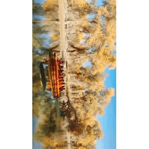 旅行风景5530