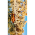 旅行风景5530