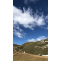 旅行风景5545