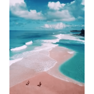 旅行风景5551