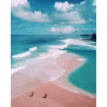 旅行风景5551