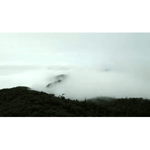 旅行风景5556
