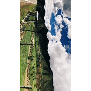 旅行风景5564