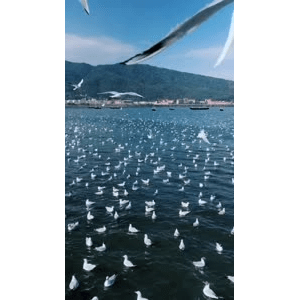 旅行风景5592