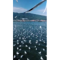 旅行风景5592