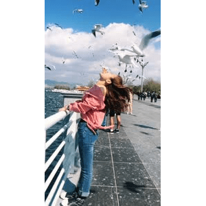 旅行风景5594