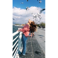 旅行风景5594