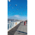 旅行风景5596