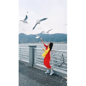 旅行风景5599