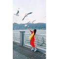 旅行风景5599