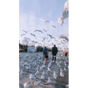旅行风景5600